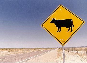 《街头霸王6》角色形象和超必杀技泄露 官方暗示可信度高